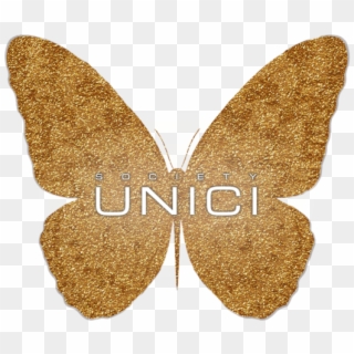 Su Butterfly White2 Clipart