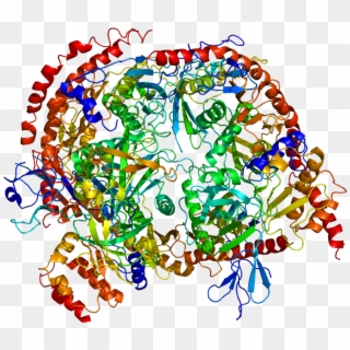 Protein Exosc3 Pdb 2nn6 - Chemistry And Biology Interface Clipart
