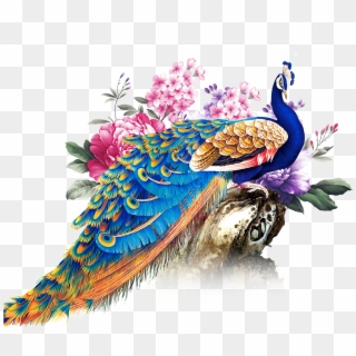 Peacock Decor, Peacock Art, Photo Booth Backdrop, Helmet, - Happy Thaipoosam Cavadee Wishes Clipart