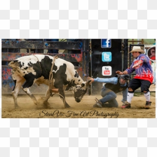 Bucking Bulls, Bull Riding, Ranch, Guest Ranch, Cattle - Bull Riding Clipart