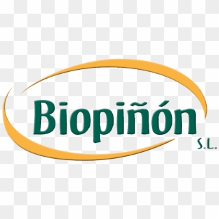 Biopiñon - Circle Clipart