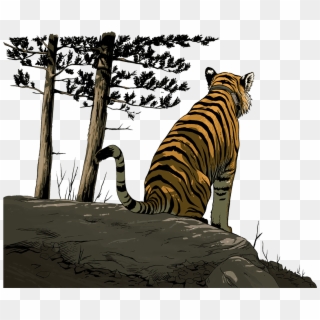 Uporny Looking Out At The Valley - Siberian Tiger Clipart