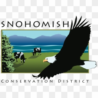 Sno - Snohomish Conservation District Clipart