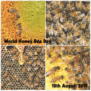World Honey Bee Day - Wasp Hive Clipart