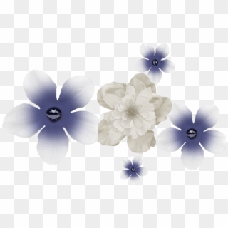 ＊nori Store Where We Always Buy＊ - Forget-me-not Clipart