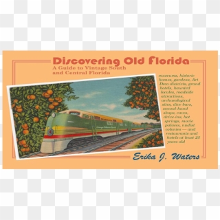 Discovering Old Florida - Tree Clipart