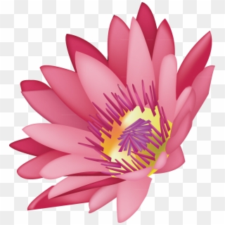 Pink Drawing Lotus Flower - Graphics Clipart