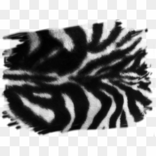 Zebra Stripes - Close-up Clipart