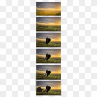Shepherd Clipart