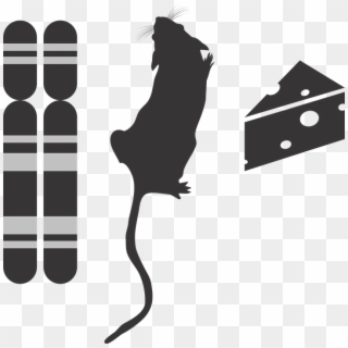 Genotype Phenotype Environment Icon G2p Genotype - Mouse Silhouette Png Clipart