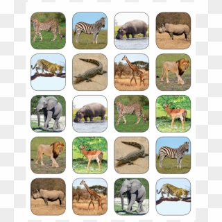 Tcr5468 Safari Animals Stickers Image - Sticker Clipart