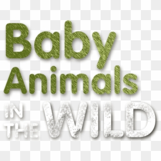 Baby Animals In The Wild - Graphic Design Clipart