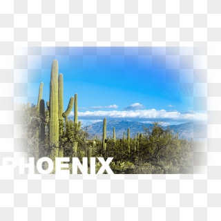 Cameramanhamilton's Desert Scape, 61x41cm - Arizona Clipart