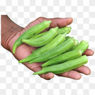 Download Hand With Okra Png Image - Okra Png Clipart