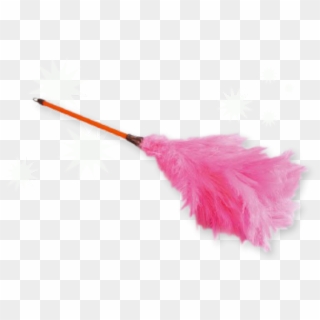 Share This Image - Pink Feather Duster Png Clipart