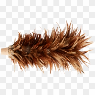 Natural Feather Duster , Png Download Clipart