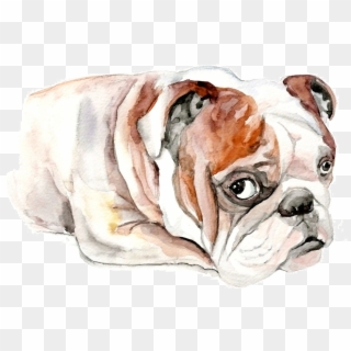 French Bulldog Clip Art - Bulldog - Png Download