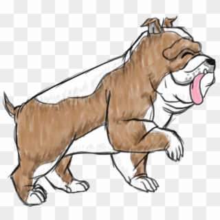 Duke The English Bulldog - Illustration Clipart