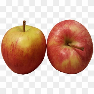 2 Apples Transparent Clipart