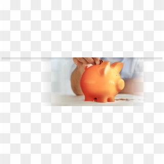 Money Secrets Achieve Your Success - Domestic Pig Clipart