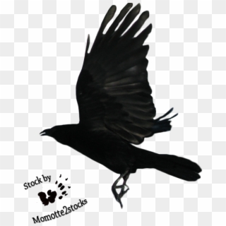 Geometric Raven Flying - Flying Crow Png Clipart