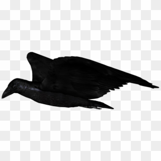 Raven Flying Png - Seabird Clipart