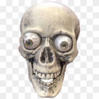Objectplastic Halloween Skull - Skull Clipart