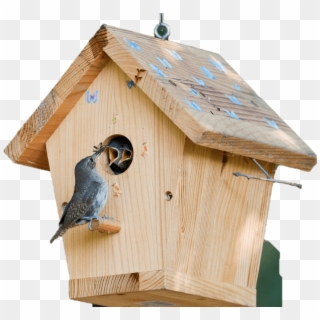 Bird House - Shelter For Birds Clipart