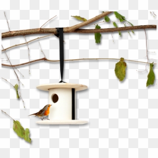 Bird Breakfast Birdhouse - Nest Box Clipart
