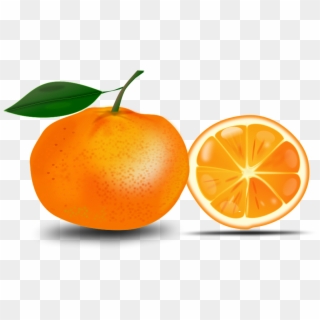 Orange Free Clipart - Free Clip Art Orange - Png Download
