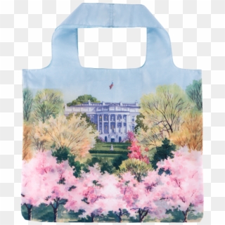 White House Historical Association Cherry Blossom Earrings - Cherry Blossom Clipart