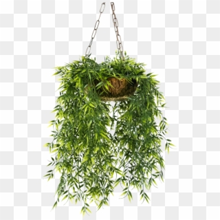 Plant Hanging Png - Hanging Flower Pot Png Clipart