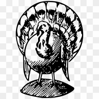 Picture Freeuse Stock Cooked Turkey Clipart Black And - Turkey Black And White Clipart - Png Download