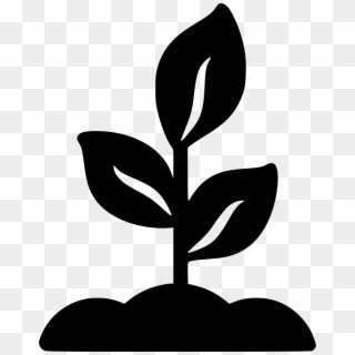 Png File Svg - Growing Plant Black And White Clipart