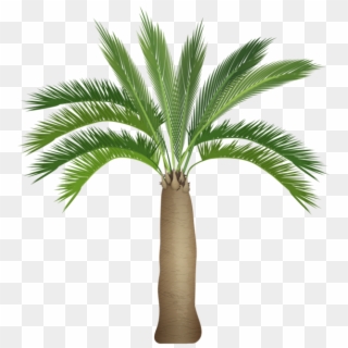 0, - Palm Trees Clipart