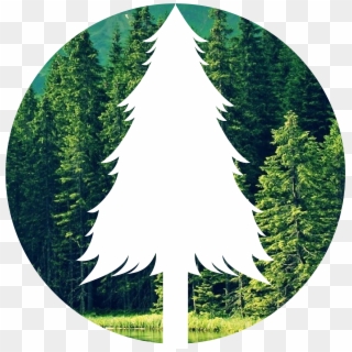 Save The Forest - Christmas Tree Clipart