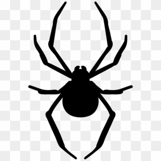 Png File - Spider Vector Clipart