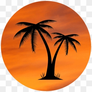 Orange Sky Palm Tree Design - Palm Tree Pic No Background Clipart