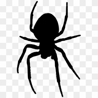 Spider Silhouette Png Clipart