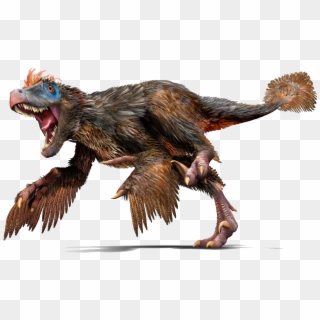Dinosaur Have Feathers Clipart