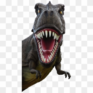 Dinosaur Png Clipart