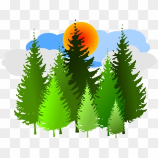 Forest Clipart Free Spruce Forest Conifer Free Vector - Pine Trees Forest Clip Art - Png Download
