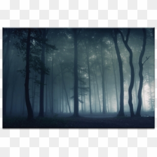 Mysterious Forest - Spruce-fir Forest Clipart