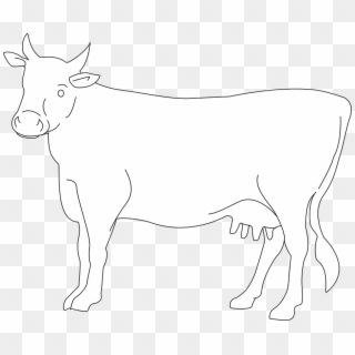 White Cow Png Photo - Cow Drawing Side View Clipart