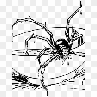 This Free Icons Png Design Of Miss Muffet's Spider Clipart