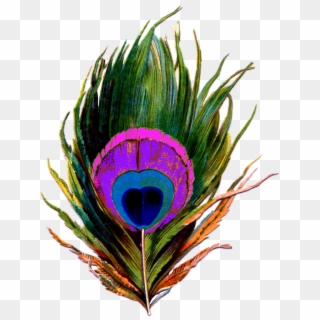 Peacock-feather Png - Peacock Feather Krishna Png Clipart