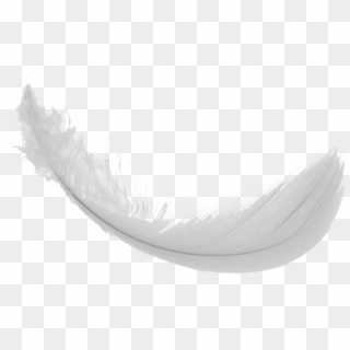 Feather Png Images - Monochrome Clipart