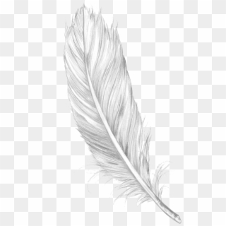 Tumblr Feather Png - Feather Png Clipart