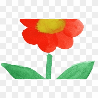 15 Watercolor Flowers Vol 2 Onlygfxcom - Corn Poppy Clipart