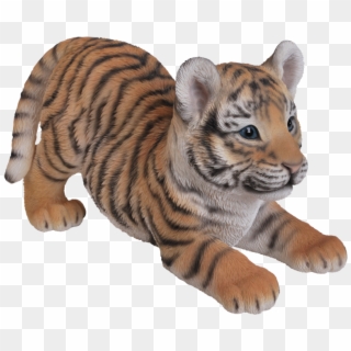 6 Kbytes, V - Tiger Baby Clipart